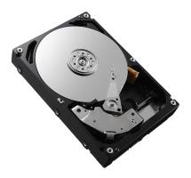 Server - Hard Disk Server 0000101649 600GB 15K RPM SAS 2.5IN HOT PLUG DR