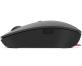 0000113517 MOUSE LENOVO 4Y51C21216 LENOVO GO USB-C WIRELESS MOUSE