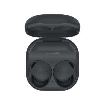 0000118537 GALAXY BUDS 2 PRO SM-R500N GRAY BT