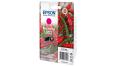 0000120494 CARTUCCE PEPERONCINO MAGENTA 503