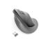 0000126800 MOUSE PRO FIT ERGO WIRELESS VERTICALE