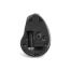 0000126800 MOUSE PRO FIT ERGO WIRELESS VERTICALE