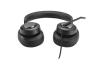 0000126825 CUFFIE OVER-EAR USB-C H2000