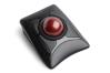 0000128077 EXPERTMOUSE TRACKBALL OTTICA WIREL