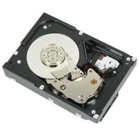Server - Hard Disk Server 0000003001 1TB 7.2K RPM SATA 6GBPS 512N 3.5IN CABLED
