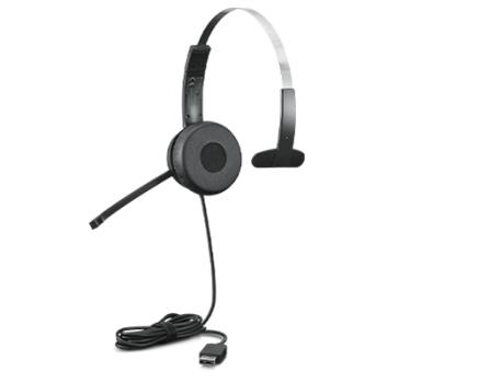 0000079329 LENOVO 100 MONO USB HEADSET IN