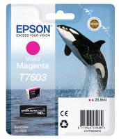 Consumables - Cartridges 0000089534 CARTUCCIA VIVID MAGENTA SERIE SQUALO